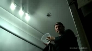 Profesjonalne usuwanie gigantycznego pająka.
