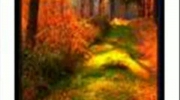 2010-01-25 07:16:52