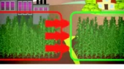 GMO animacja